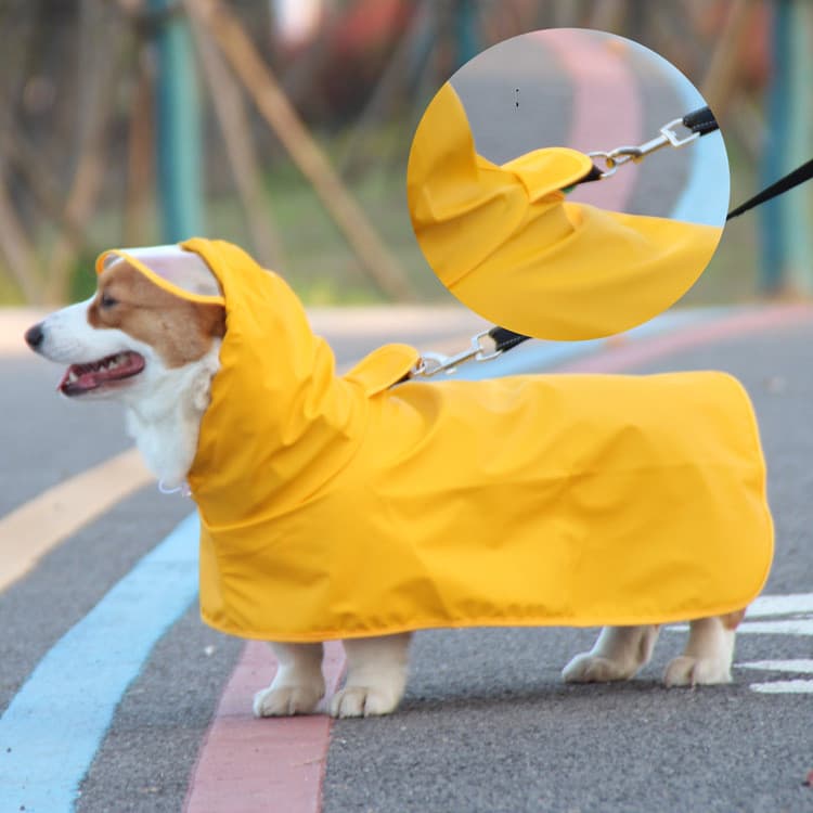 Transparent Brim Dog Raincoat
