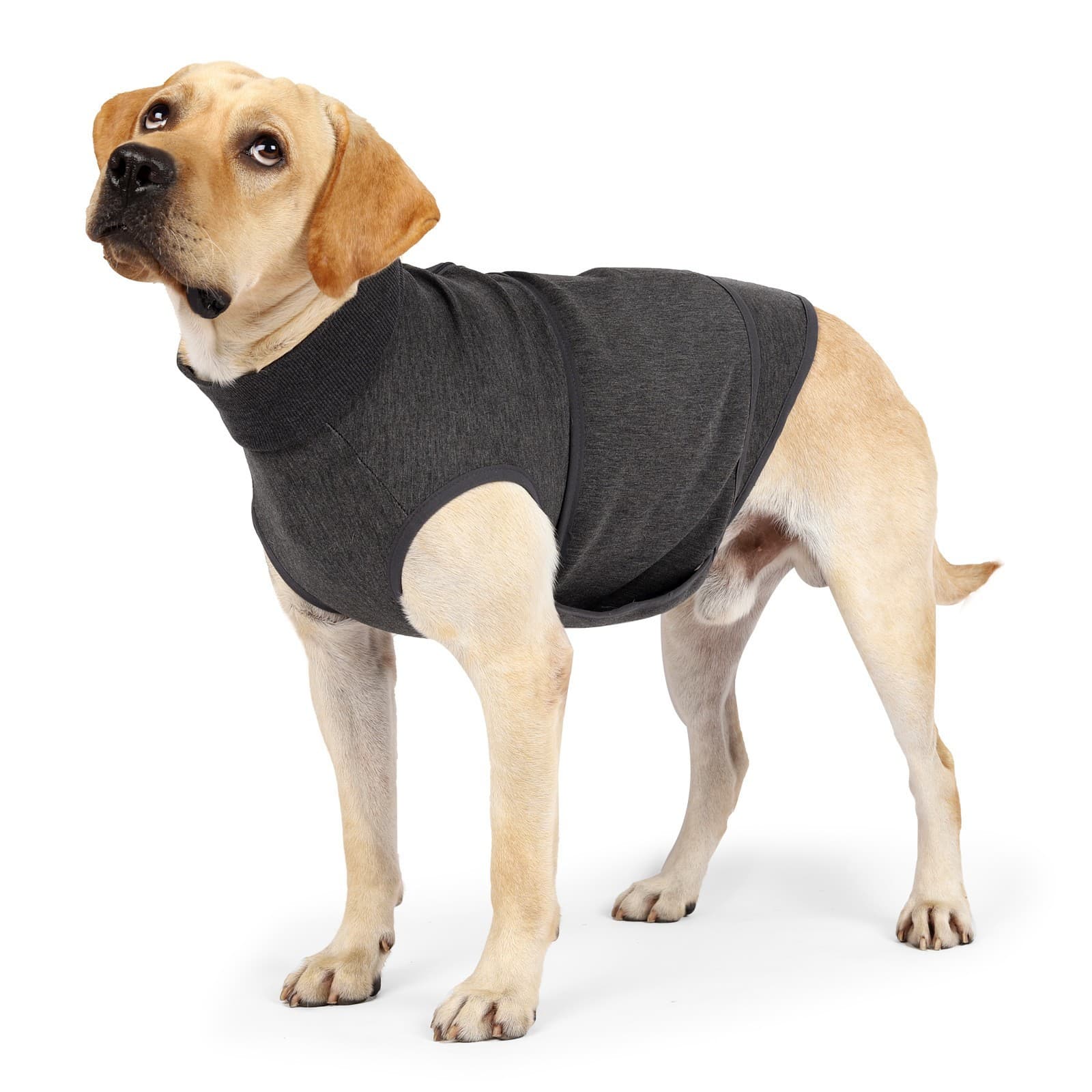 Comfort Cotton Double Dog Jacket