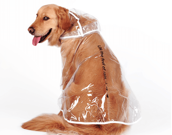 Transparent Waterproof Dog Raincoat
