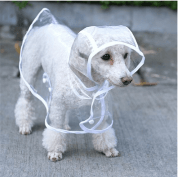 Transparent Waterproof Dog Raincoat