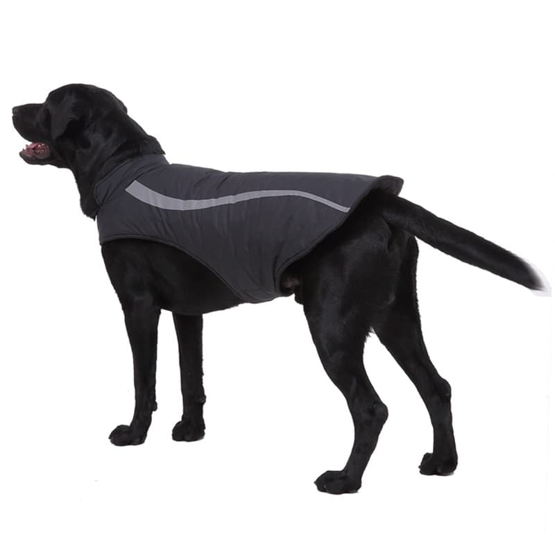 Dog Coat