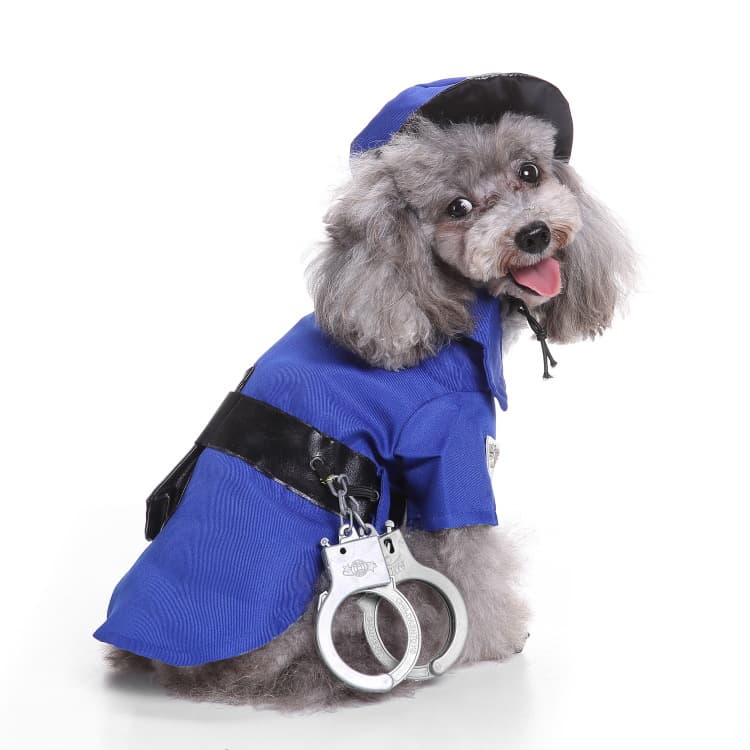 Creative Halloween Dog Costume