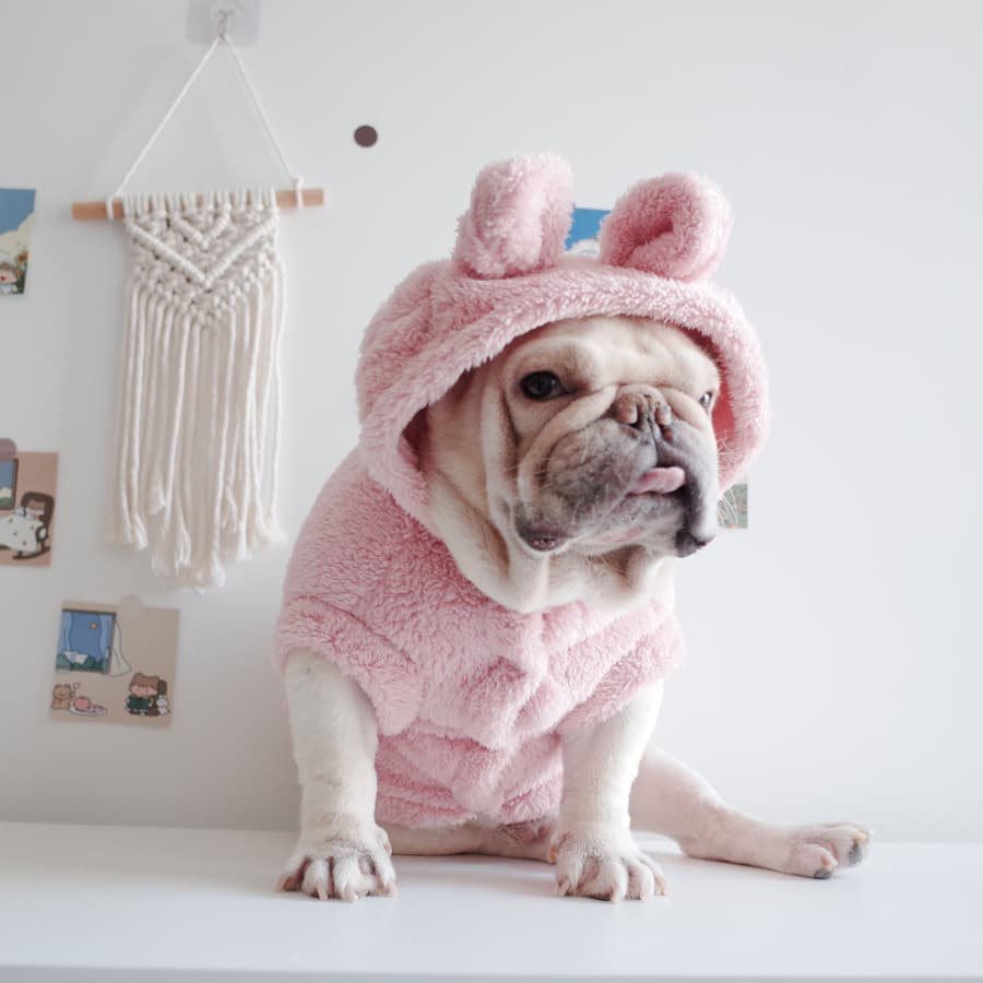Cartoon Animal Plush Dog Costume