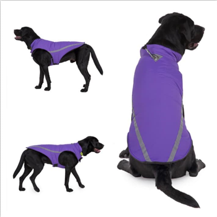 Dog Coat