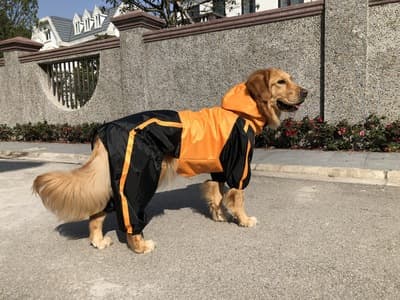 Waterproof Hooded Dog Raincoat