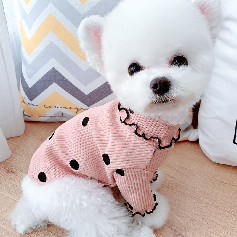 Dot Dog Sweater