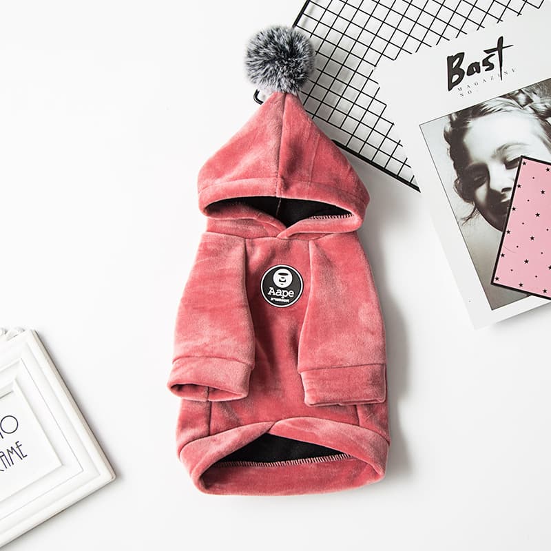 Warm Dog Hoodie