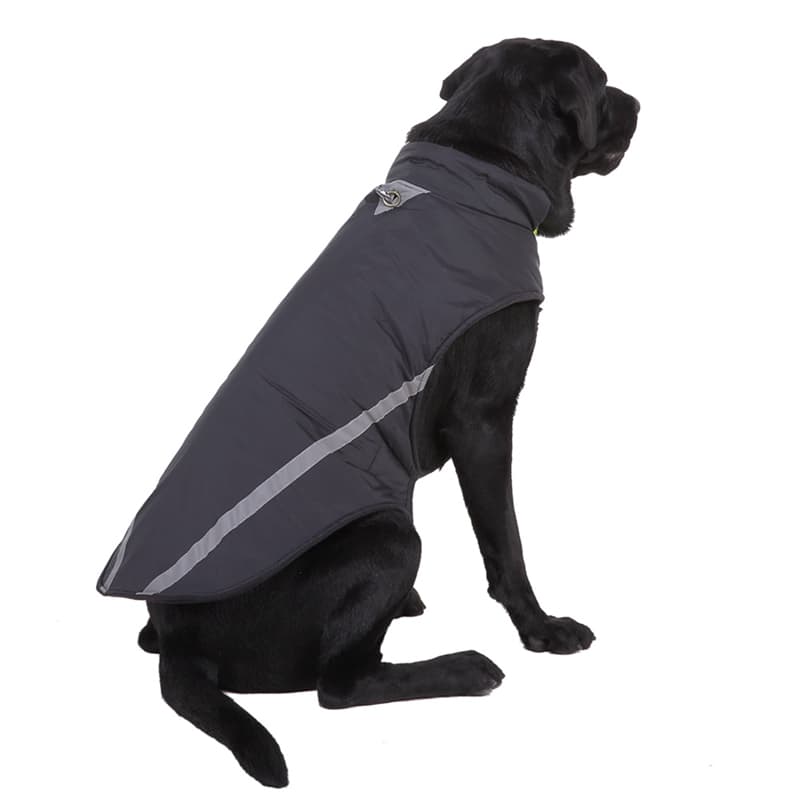 Dog Jacket