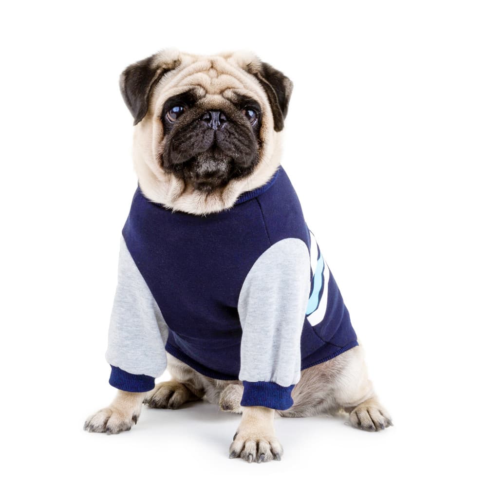Colorblock Chevron Dog T-Shirt