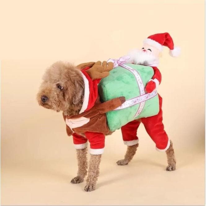 Christmas Santa Carrying Gift Dog Costume