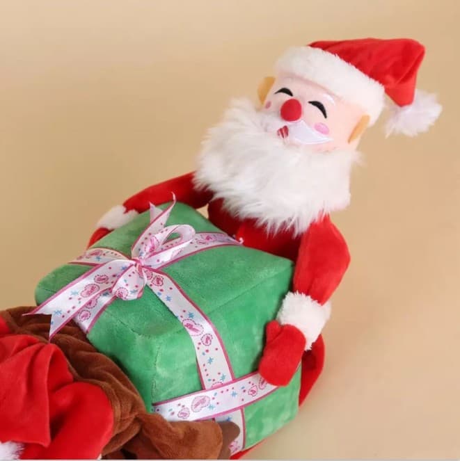 Christmas Santa Carrying Gift Dog Costume