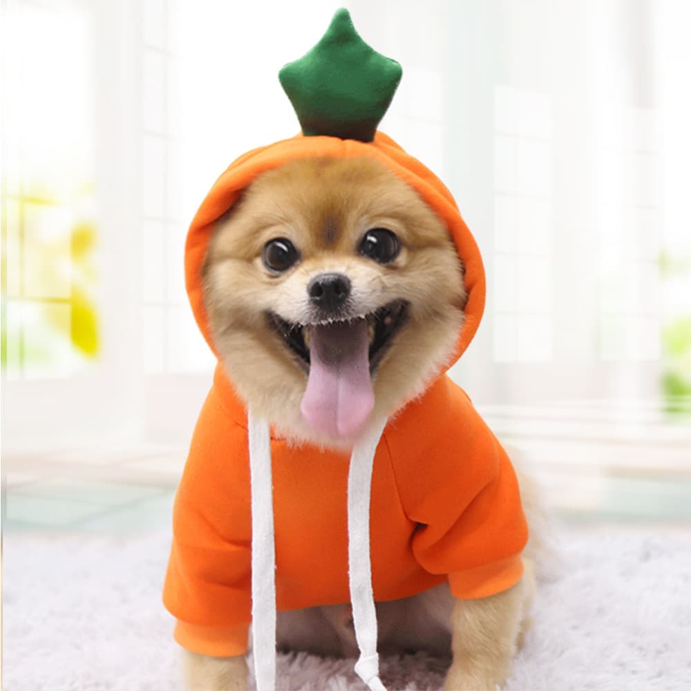 Cute Fruit Hooded Dog Sweatshirt