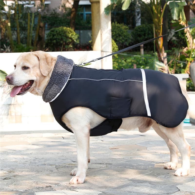 Warm Dog Vest