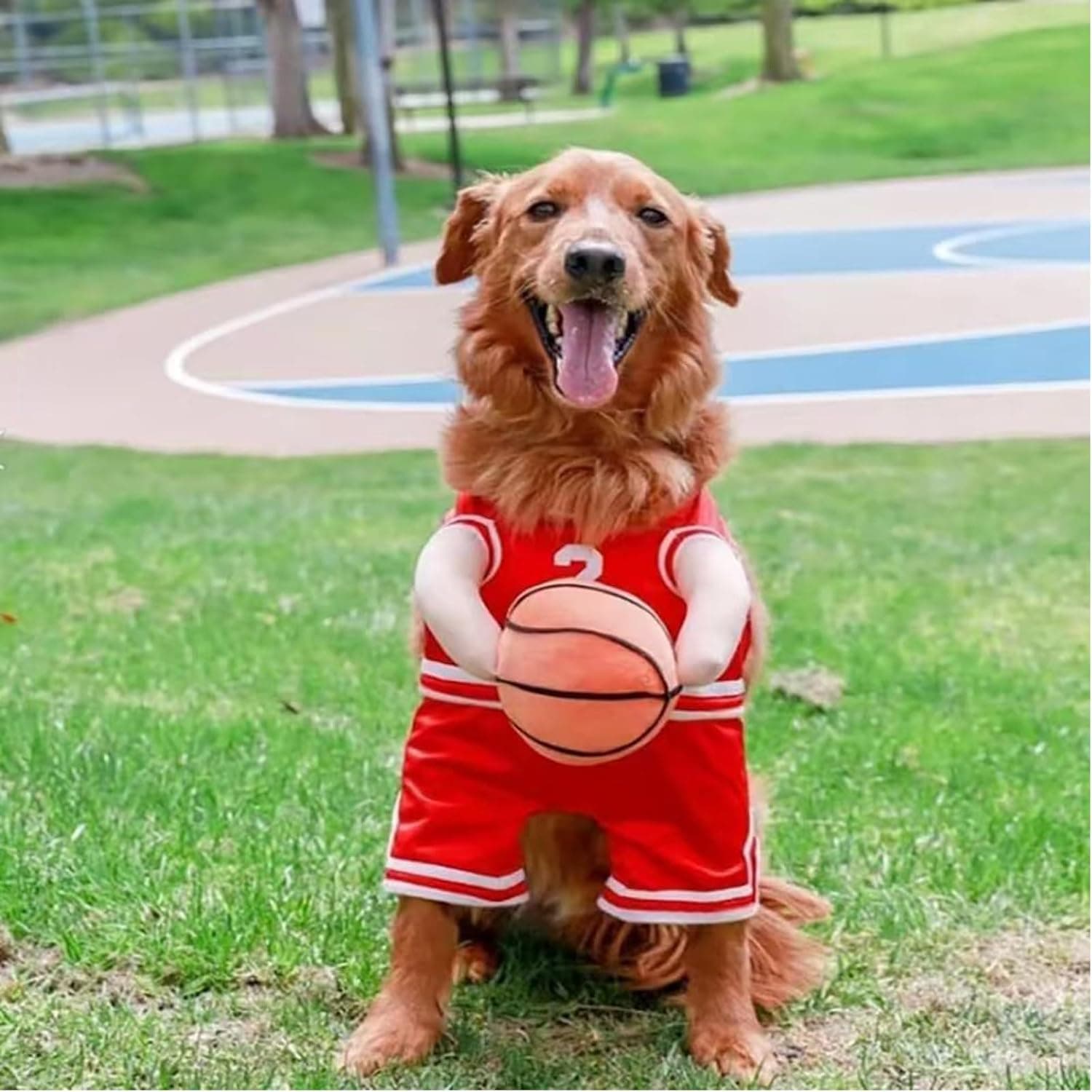 Funny Basketball Player Dog Costume