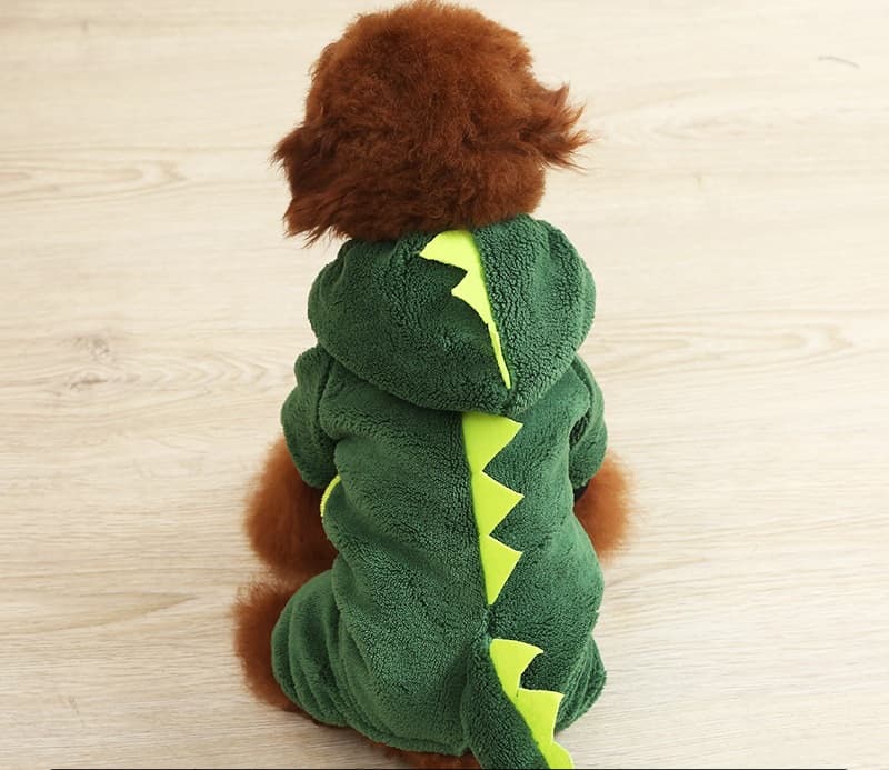 Transformed Into Dog Costume