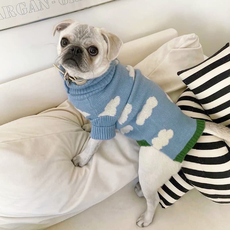 Jacquard Dog Sweater