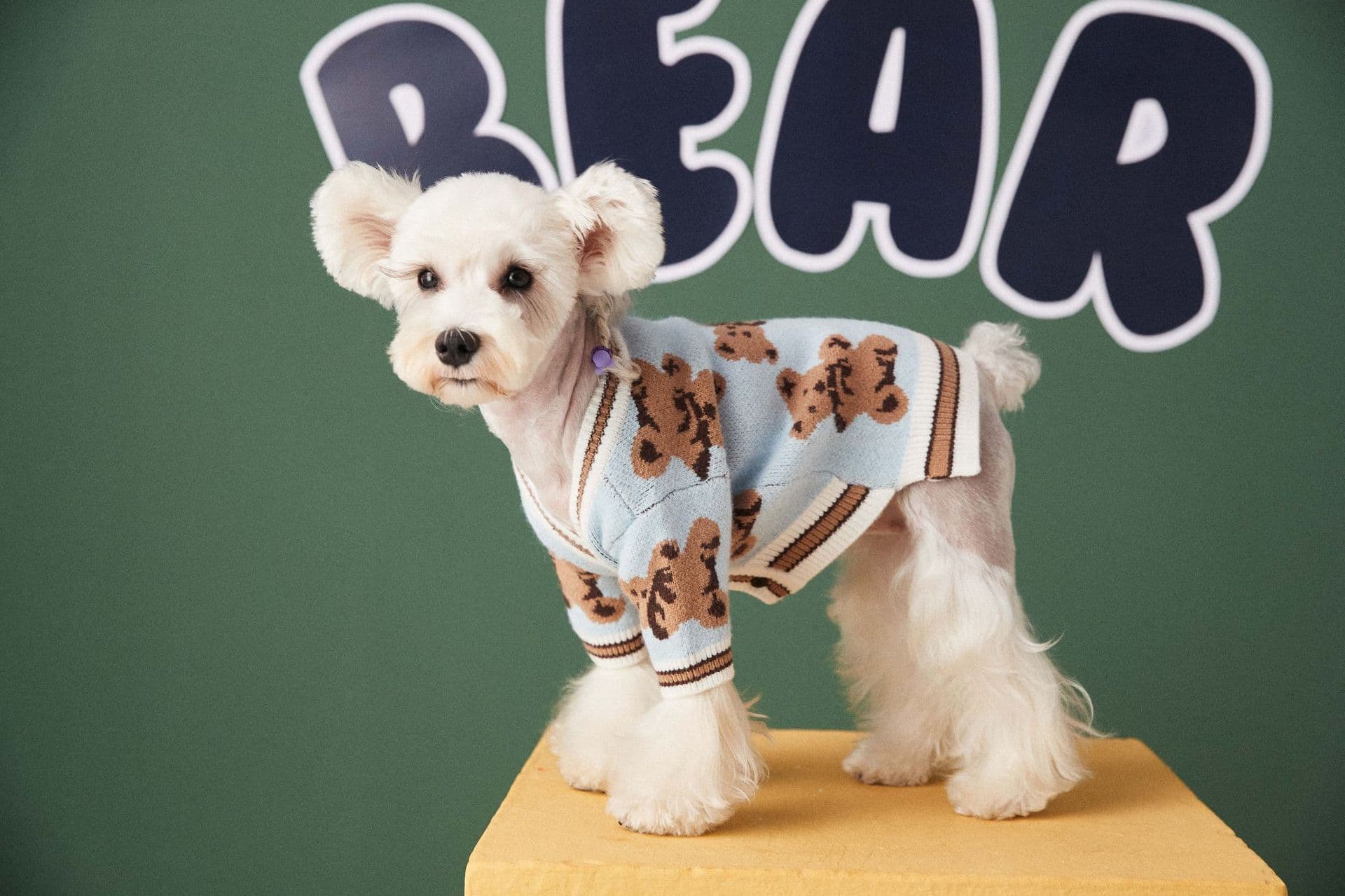 Preppy V-Neck Dog Sweater