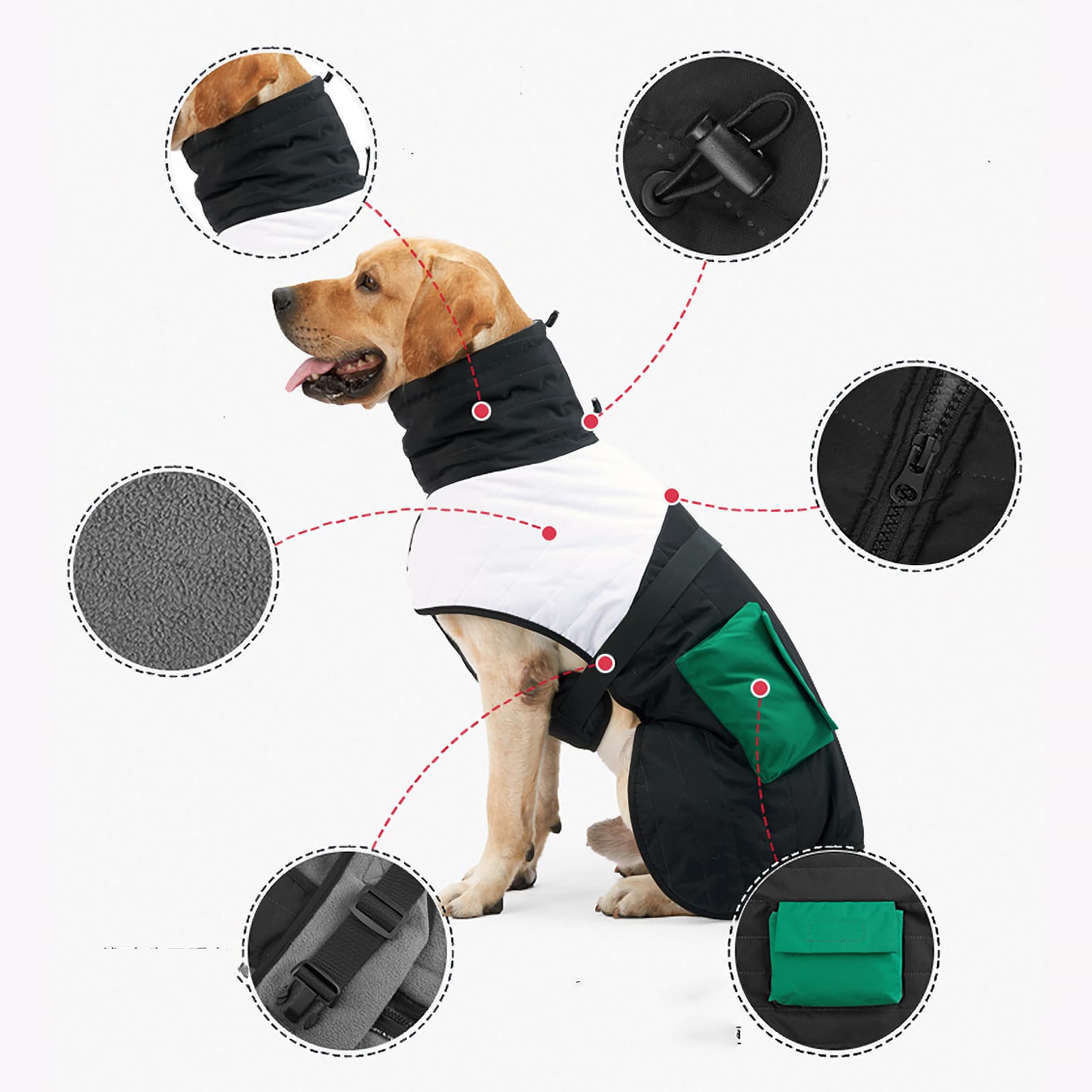 Warm Padded Dog Coat