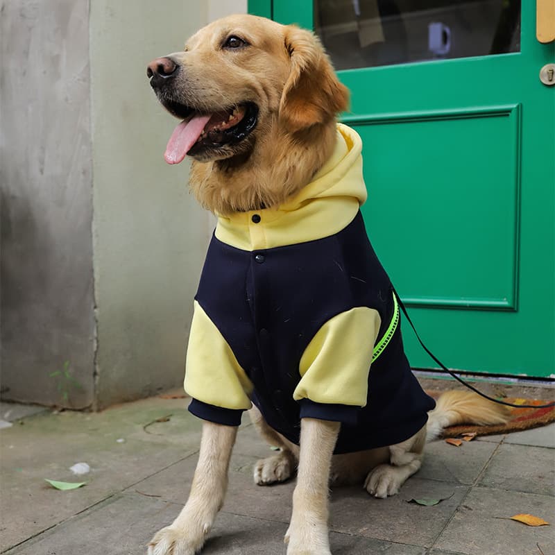 Colorblock Dog Hoodie With Pocket