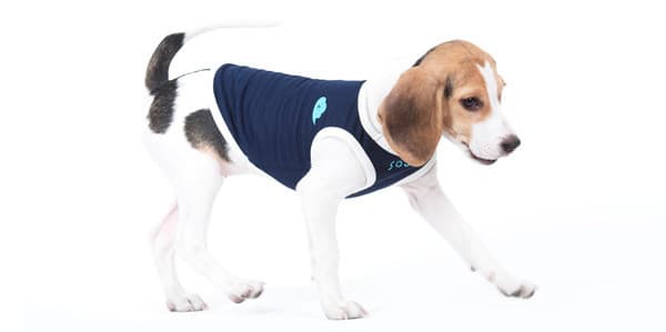 Breathable Two-Legged Dog Shirt