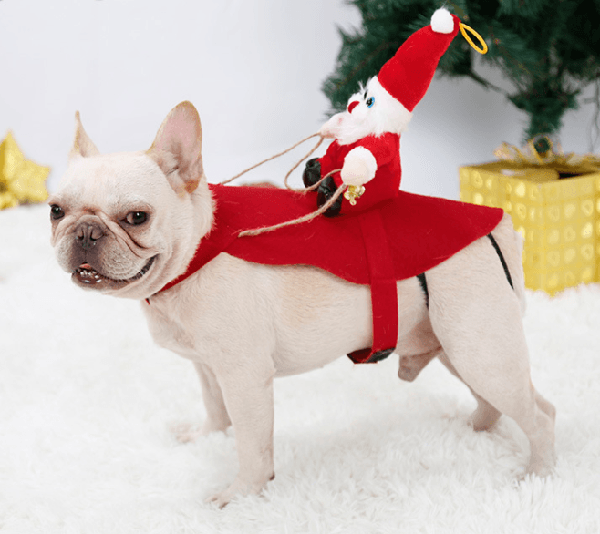 Christmas Santa Claus Riding Deer Dog Costume
