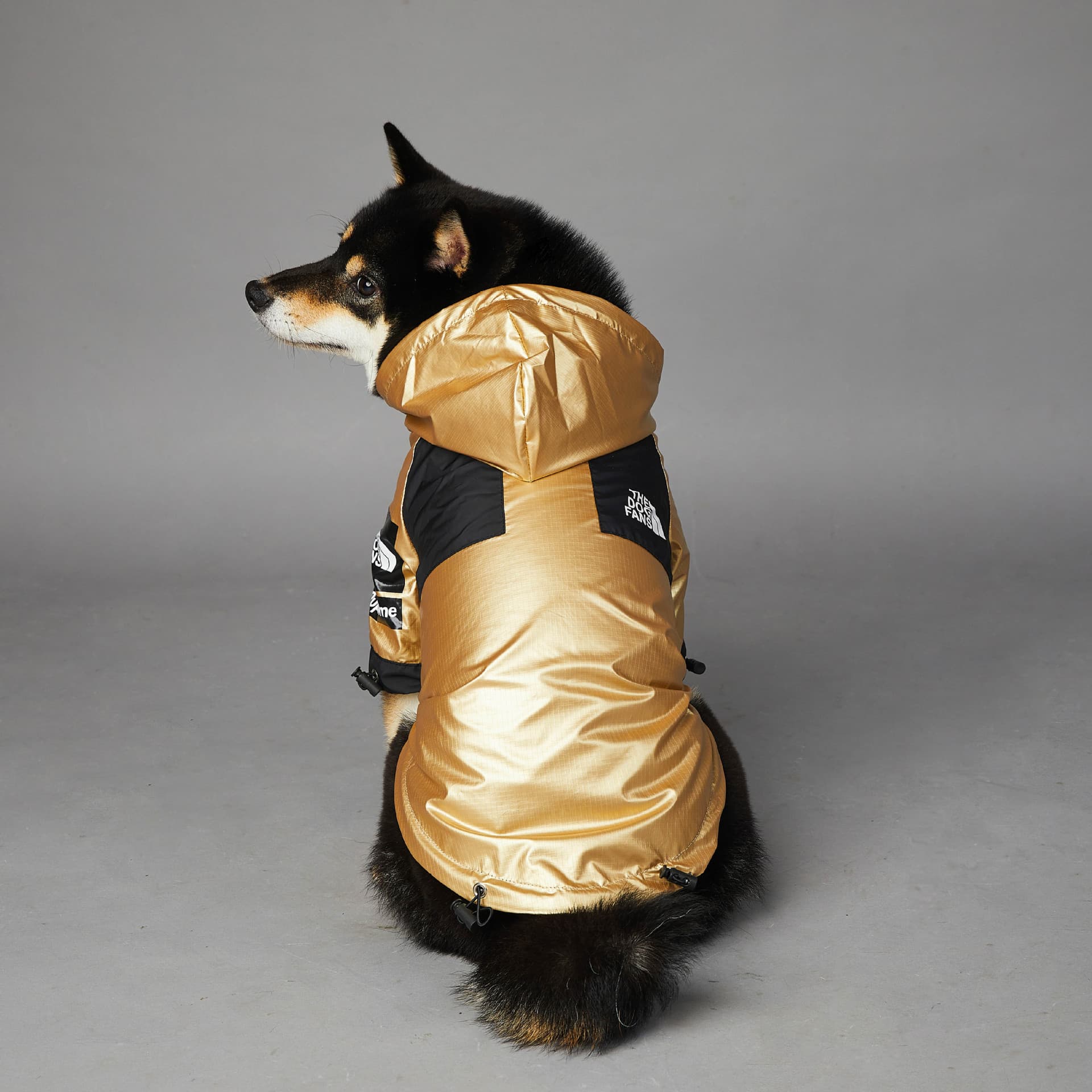 Gold and Black Hooded Dog Coat