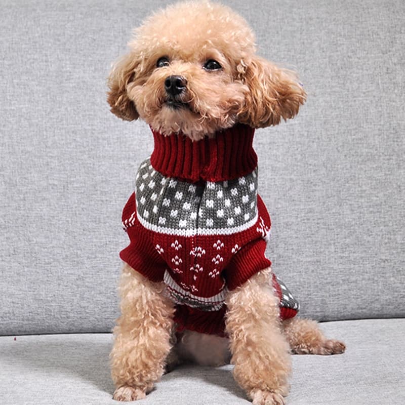 Christmas Maple Snowflake Dog Sweater