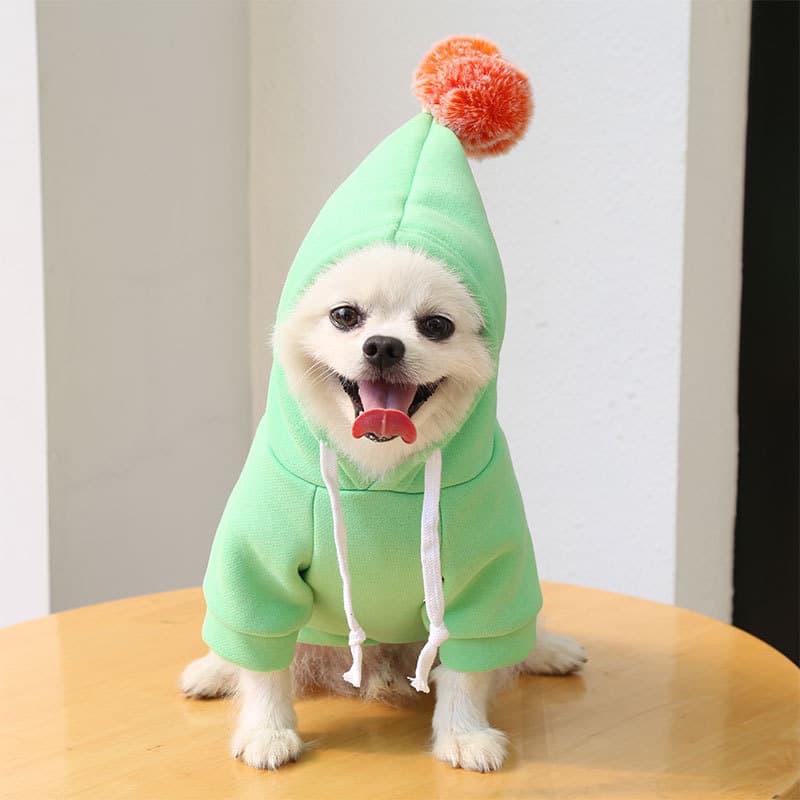 Fruit Two-Legged Dog Hoodie
