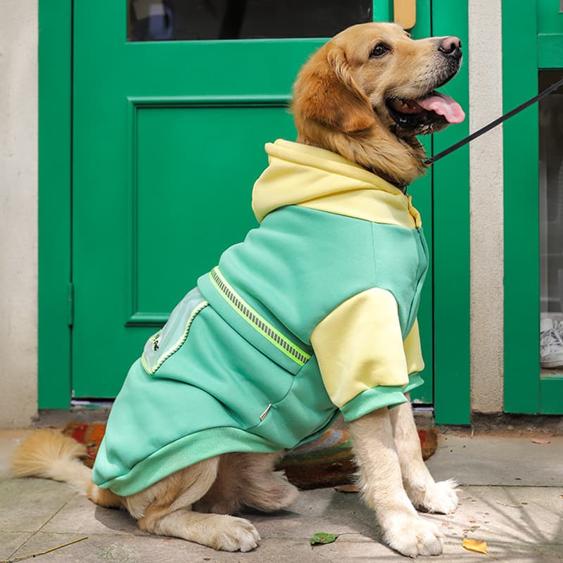 Colorblock Dog Hoodie With Pocket