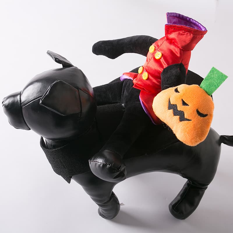Halloween Dog Costume