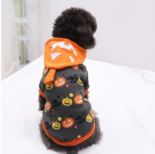 Halloween Dog Costume