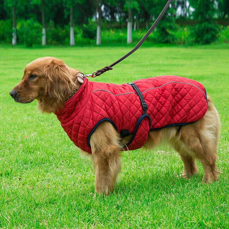 Adjustable Warm Cotton Dog Jacket