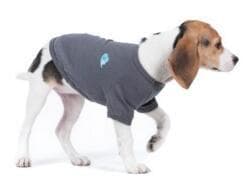 Breathable Two-Legged Dog Shirt