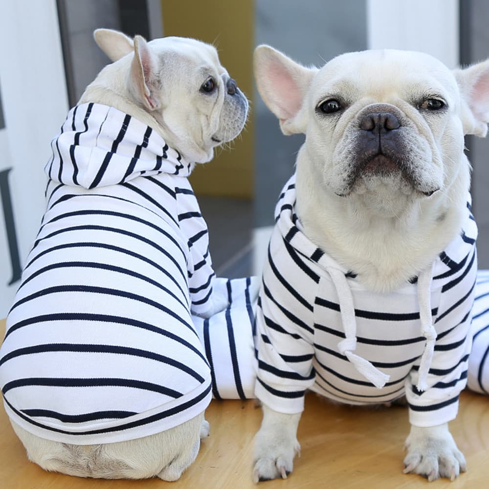 Striped Dog Hoodie