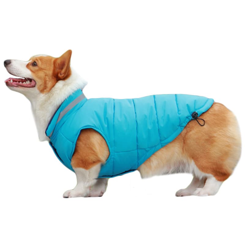 Waterproof Outdoor Dog Jacket