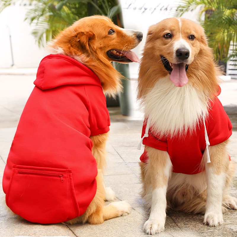 Simple Pocket Dog Hoodie