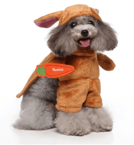 Funny Standing Dog Costume
