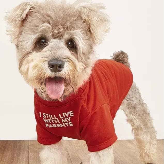 Round Neck Dog T-Shirt