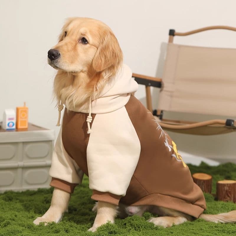 Colorblock Dog Hoodie