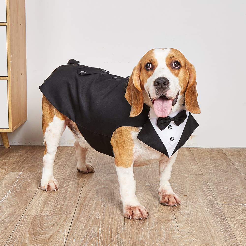 Formal Dog Tuxedo Wedding Suit Costume