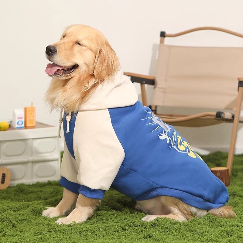 Colorblock Dog Hoodie