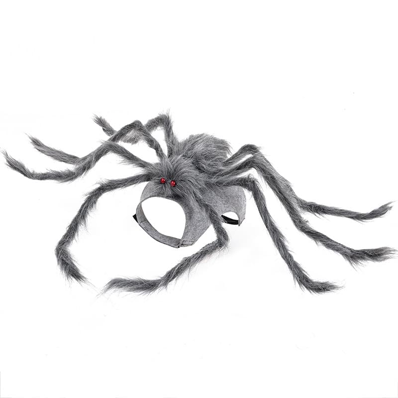 Halloween Spider Dog Costume