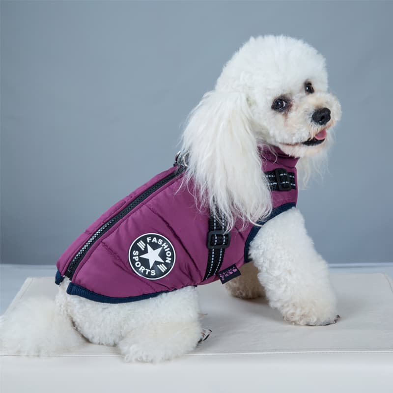 One Dog Vest