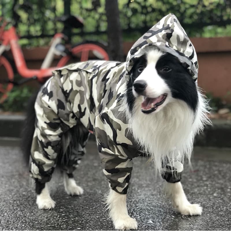 Waterproof Full Body Dog Raincoat