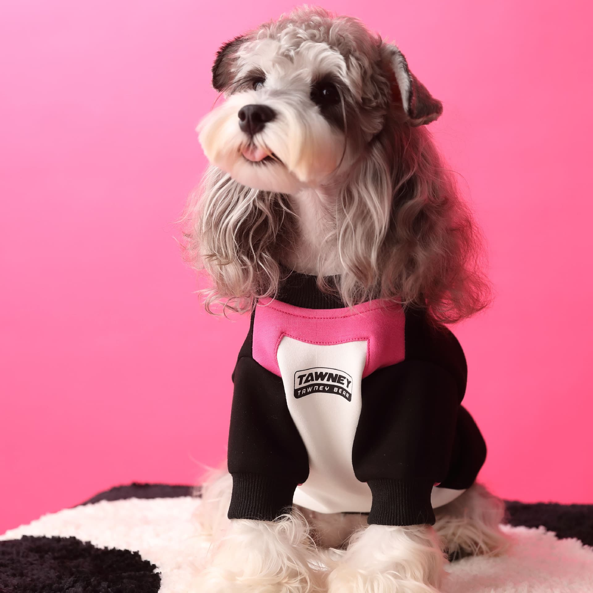 Colorblock Zipper Dog Hoodie