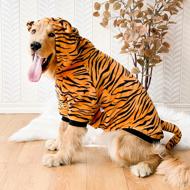 Tiger Dog Costume