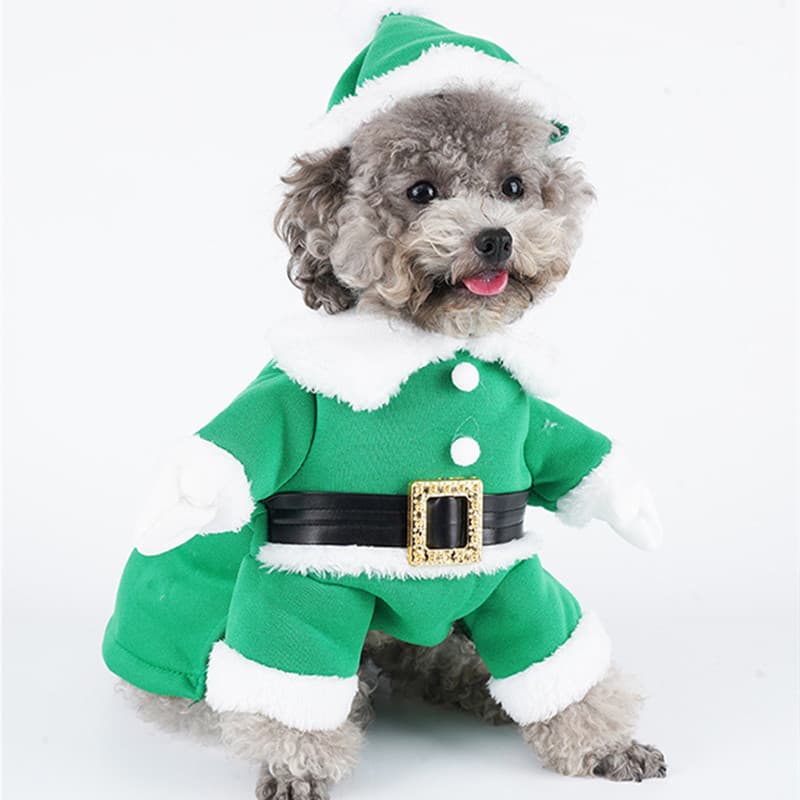 Santa Christmas Dog Costume with Hat