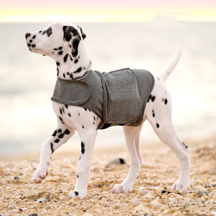 Anxiety Dog Jacket