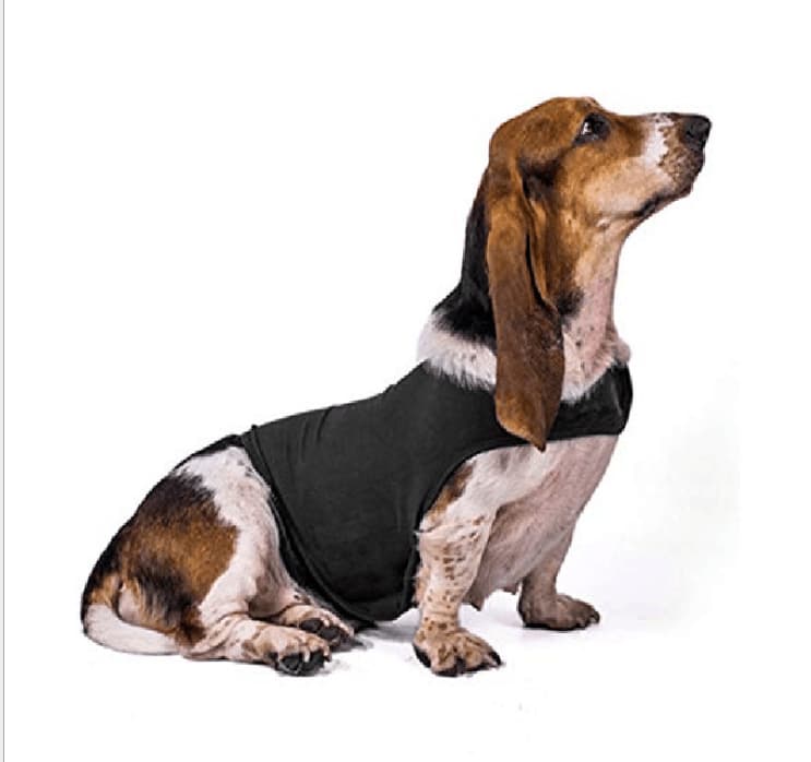 Anxiety Relief Dog Shirt