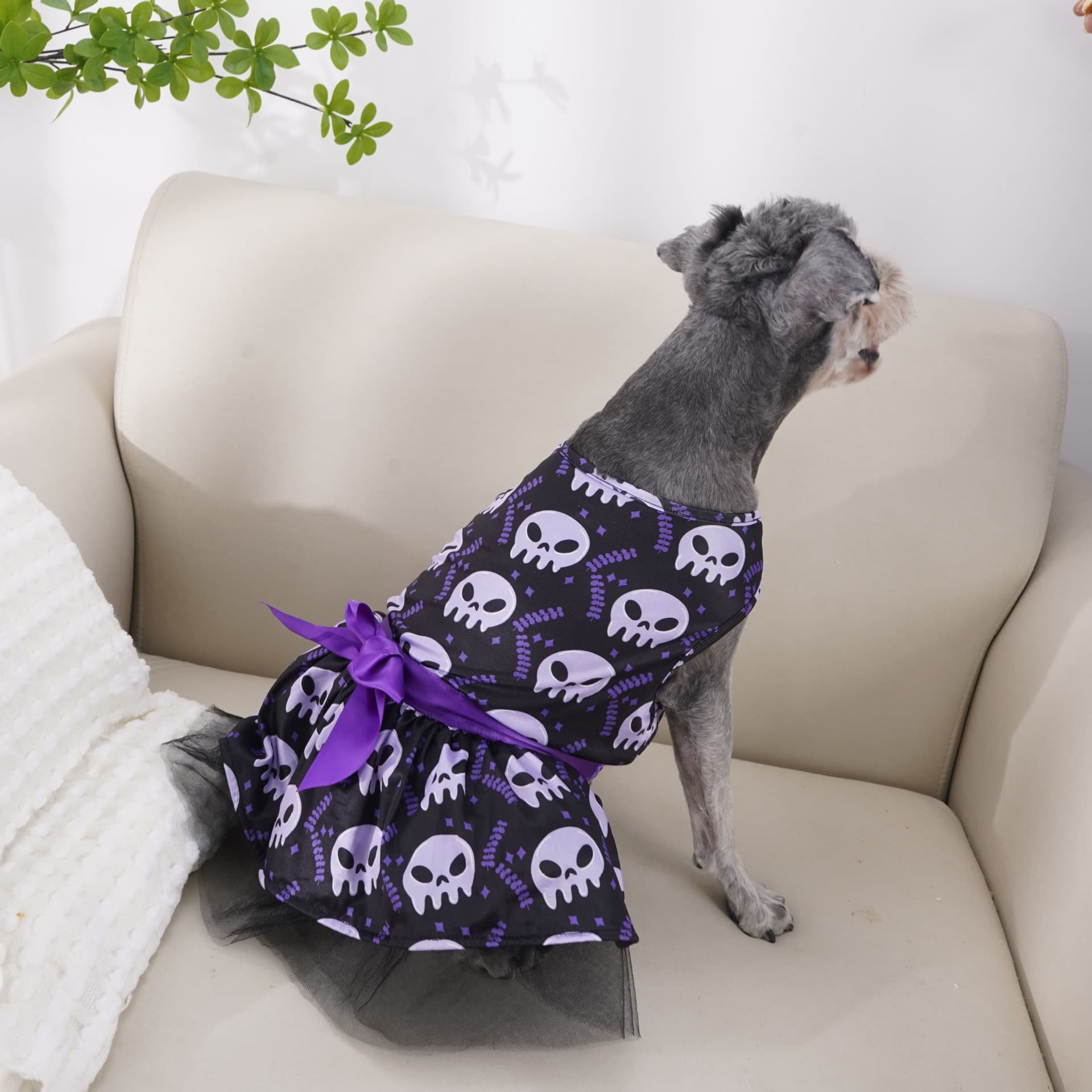 Halloween Dog Dress with Bow